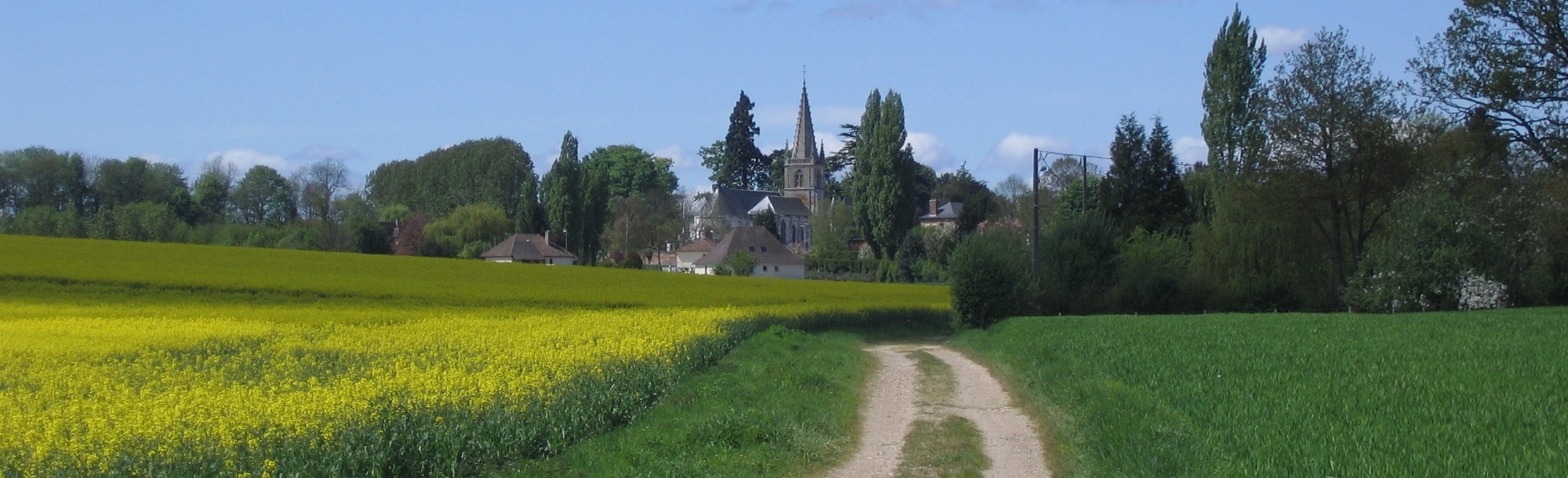 Paysage chemin