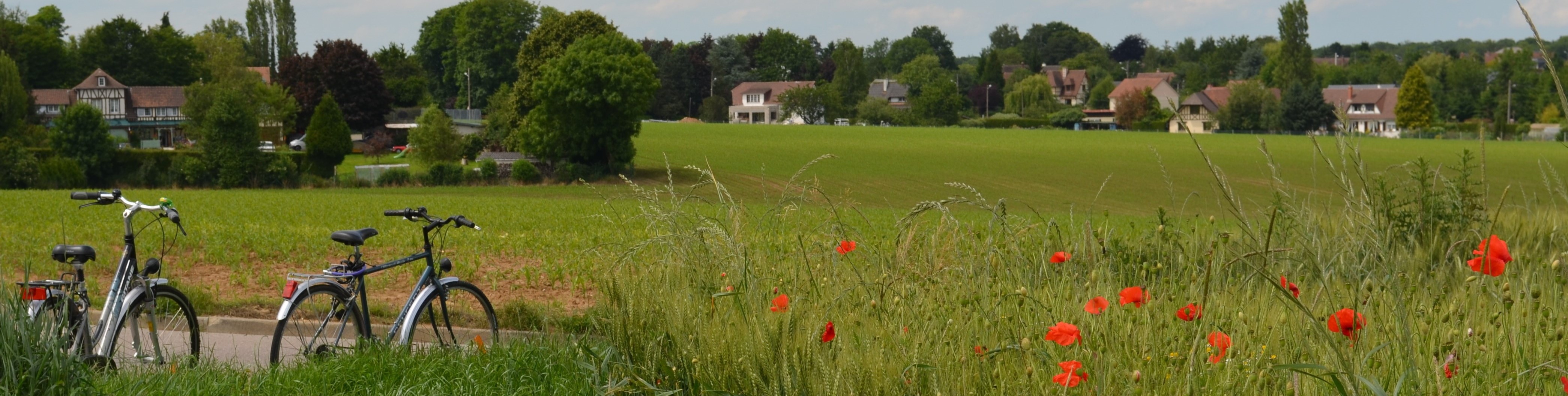 Paysage vélos (2)